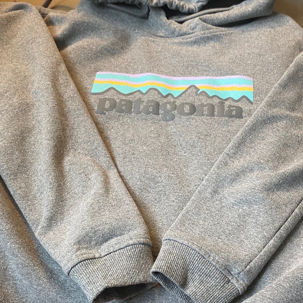 Patagonia Heather Gray Sweatshirt with Vibrant Logo uprisal hoody